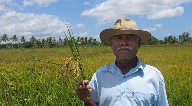 Seu José, em Sergipe, usa a irrigação para plantar arroz e tem o apoio do 