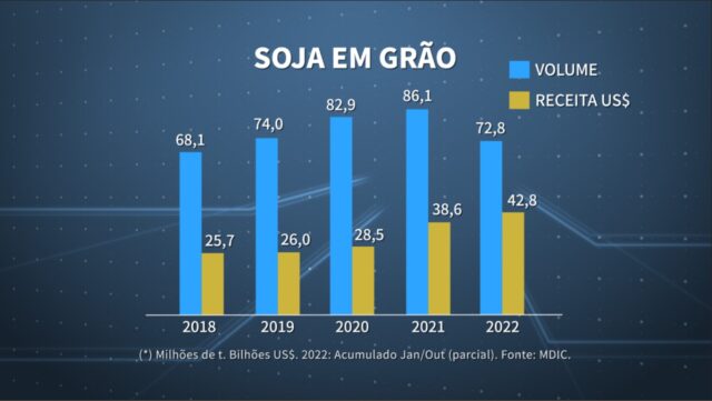 soja em grão