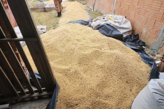 soja, roubo, paranaguá, paraná