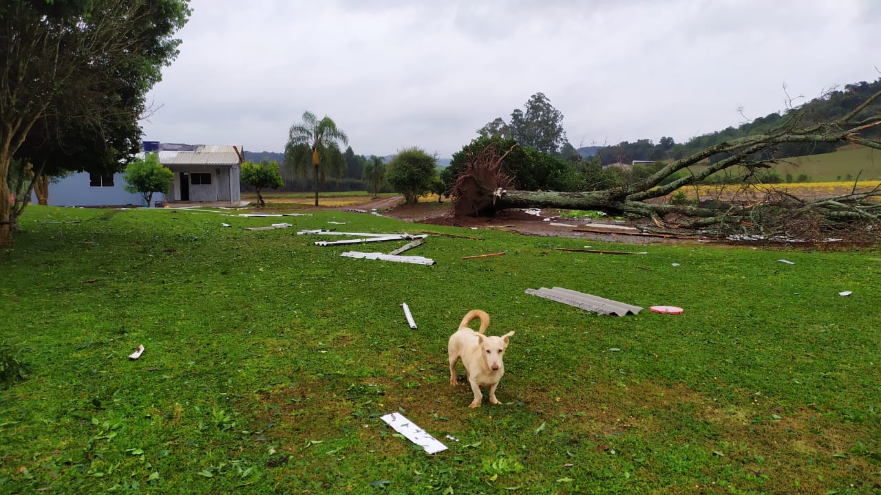 temporais, chuva, tempo