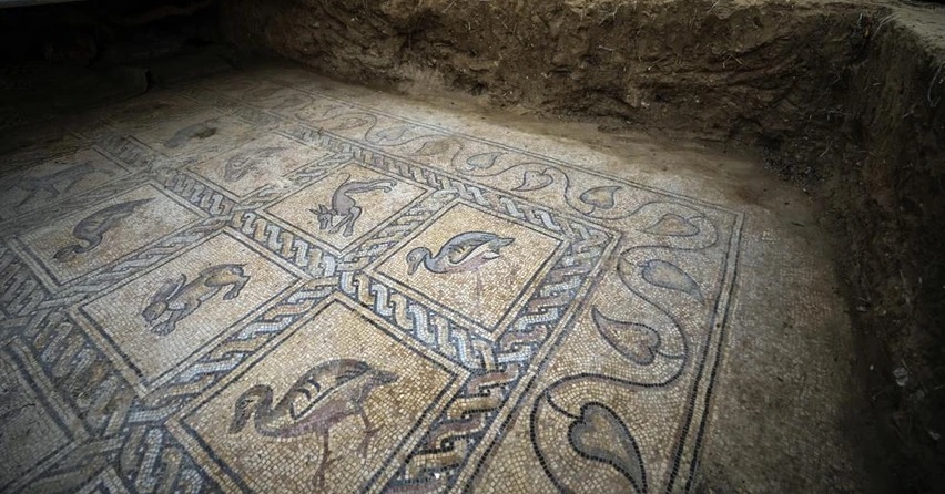 tesouro arqueológico encontrado por agricultor palestino na faixa de gaza - mosaicos da era bizantina