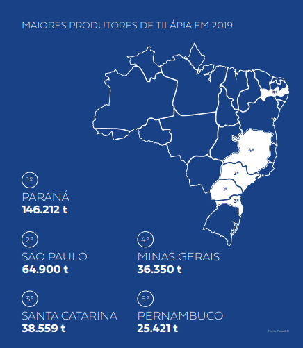 Infográfico com a produção brasileira