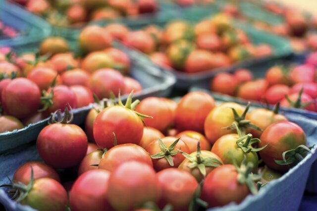 tomates