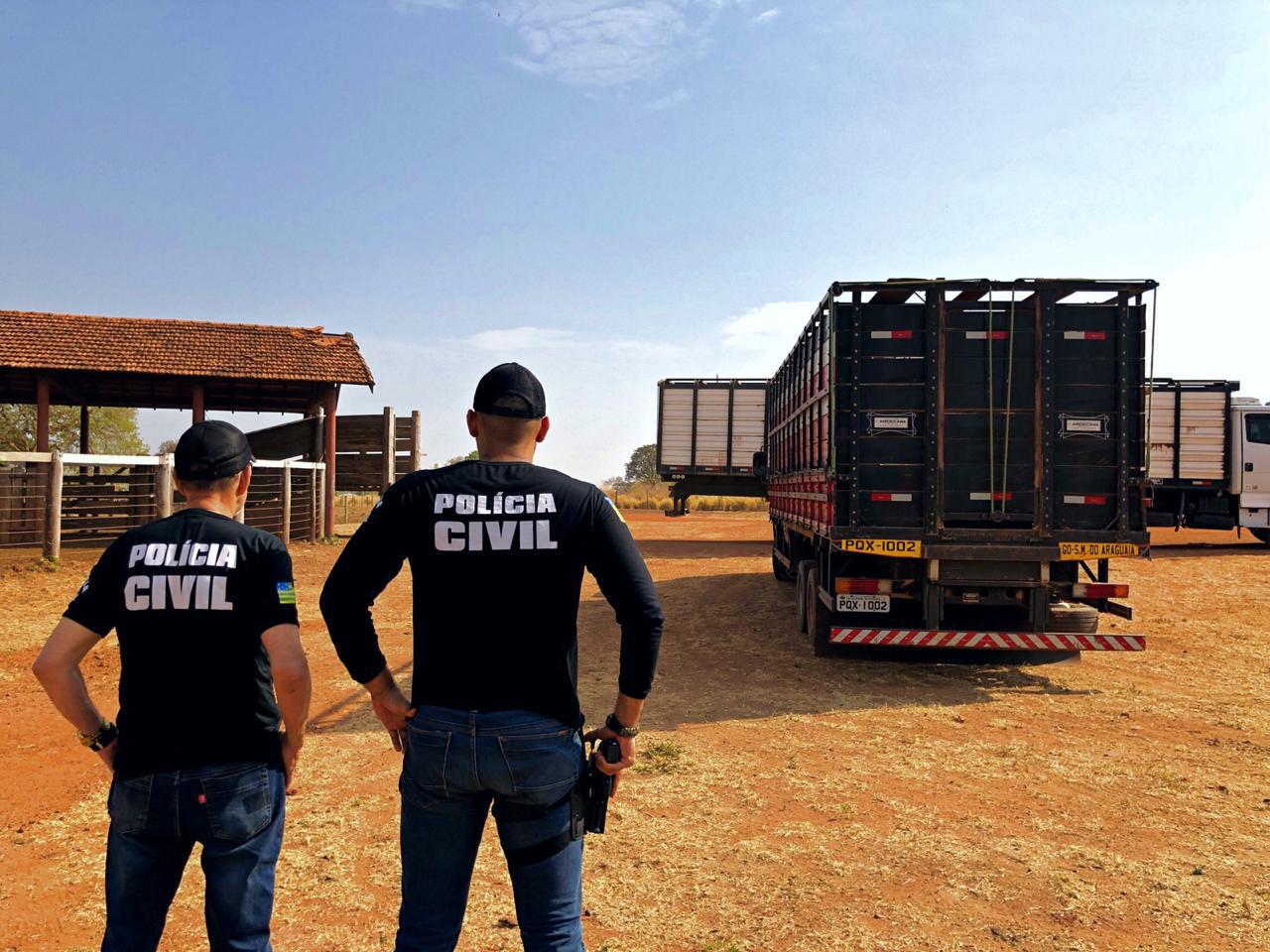 Polícia apreende carga com 120 bois vivos vindos do Paraguai