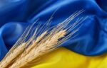 ucrânia grãos