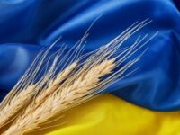 ucrânia grãos agricultores