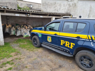 Polícia saca de soja apreendia