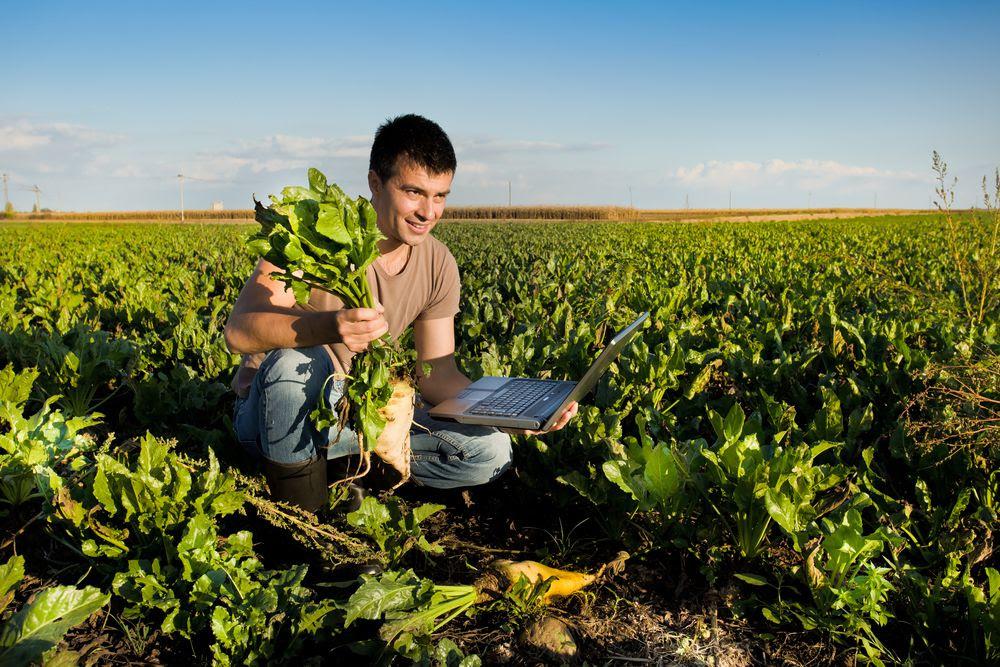 jovem agricultor