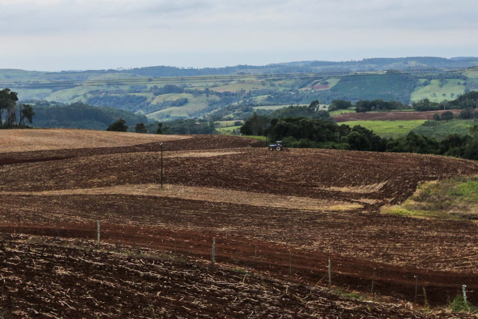 soja, vazio sanitário, Paraná soja, vazio sanitário, Paraná