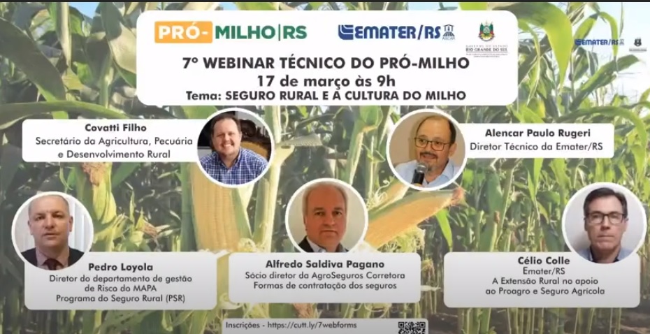 Governo do RS e Emater realizam webinar do Pró-Milho sobre seguro rural