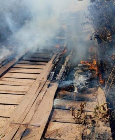 ponte queimada mato grosso fazenda