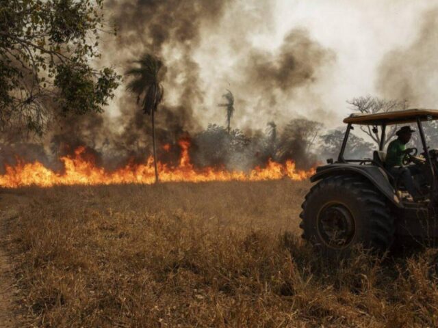 Incêndio pantanal mato grosso fazenda